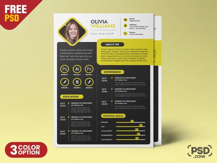 A4 Size Creative Resume CV PSD
